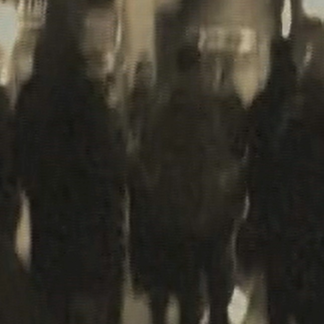 Description of the image